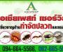 บริษัท เอเชียเพสท์ เซอร์วิส จำกัด (Asia Pest กำจัดปลวกปทุมธานี)